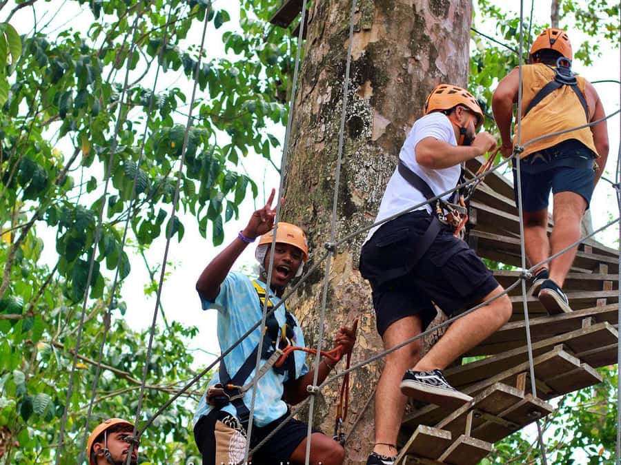 Koh Samui: Panoramic Zipline Experience at Samui Zipline - The main ride through the canopy