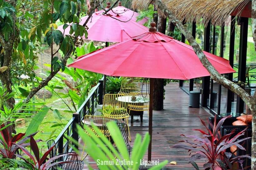 Koh Samui: Samui Zipline Adventure with Transfer service - The transfer can be longer than the zipline
