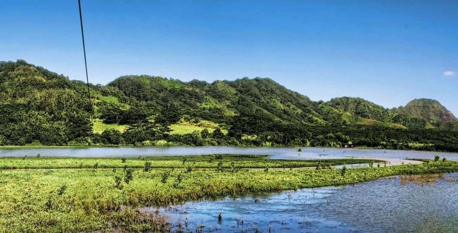 Koloa: Kauai’s Longest 8-Line Zipline Tour - Booking, timing, and cancellation
