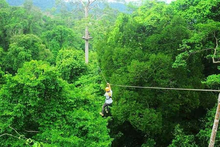 Krabi Zipline adventure - Private pickup from Ao Nang or Krabi Town