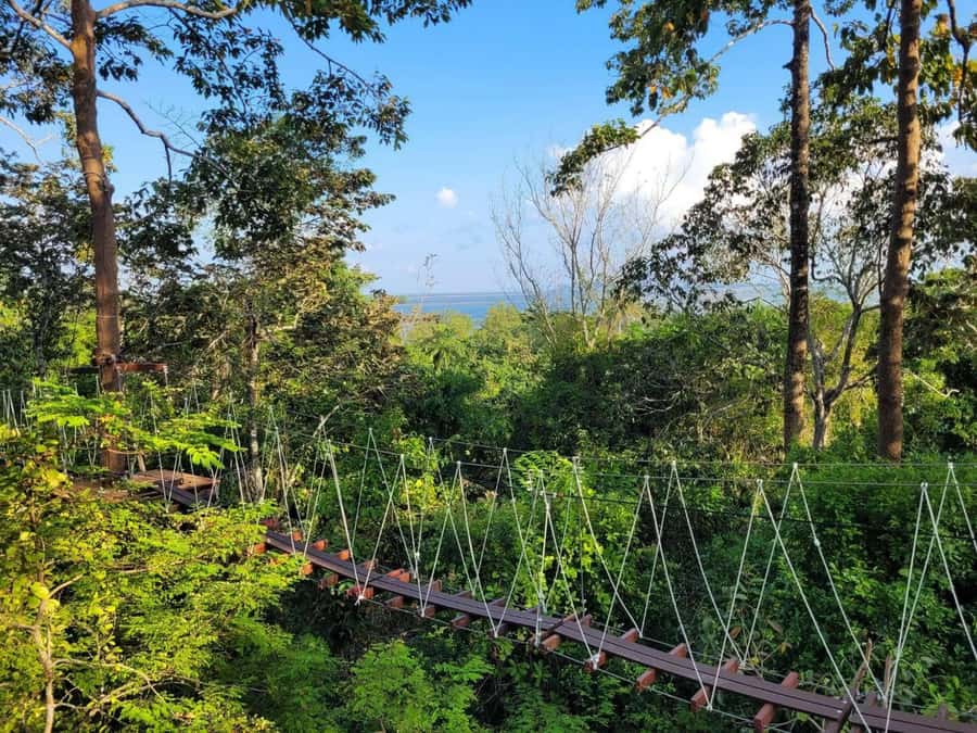 Krabi Zipline adventure - Rock climbing and lunch make it a fuller day
