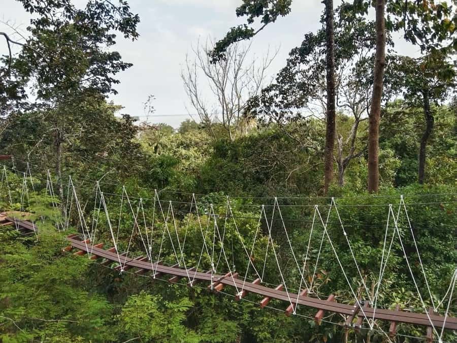 Krabi Zipline adventure - The view is the real reward