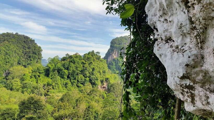 Krabi: Ziplining with Abseiling and Rock Climbing Options - Who should choose which package?