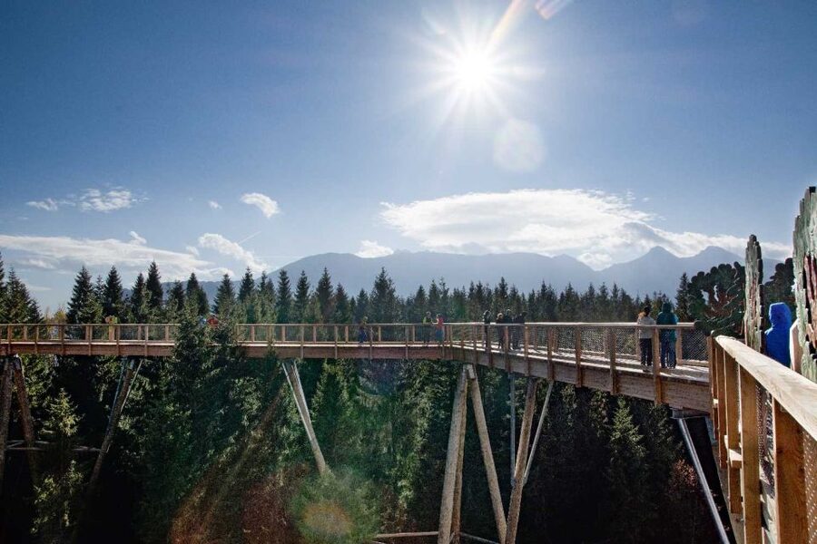 Krakow: Slovakia Treetop Walk & Zakopane Tour (Hotel Pickup) - Walking above the forest at Bachledka
