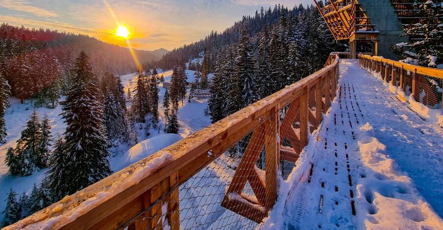 Krakow: Zakopane, Thermal Baths and Gorce Park Treetop Walk - Key points at a glance