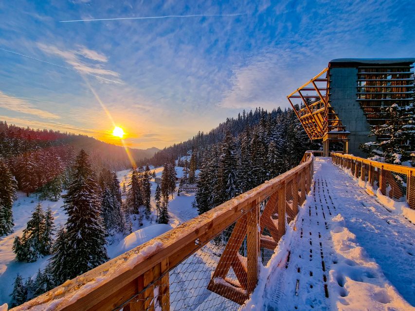 Krakow: Zakopane, Thermal Baths and Gorce Park Treetop Walk - Why the tower views matter