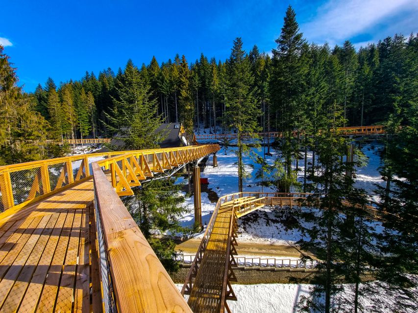 Krakow: Zakopane, Thermal Baths and Gorce Park Treetop Walk - Tasting cheese and local drinks