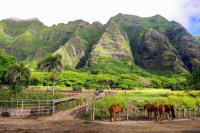 Kualoa Ranch - Zipline Tour - Key points to know before you book