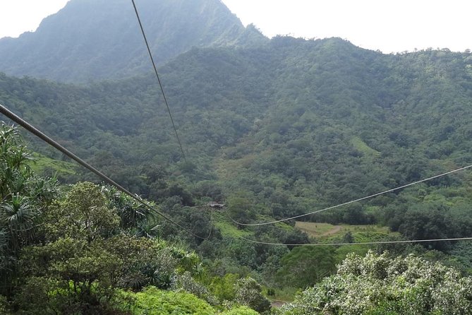 Kualoa Ranch - Zipline Tour - Who will enjoy this most?