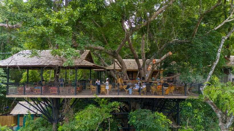 Kuang Si Waterfall, Tree Top Cafe, Ziplining - Who will enjoy this experience most
