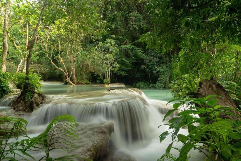 Kuang Si Waterfall, Tree Top Cafe, Ziplining - Leaving Luang Prabang for the villages