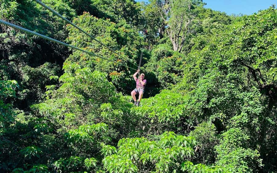 Largest Zipline & Cave Exploration from sigatoka coral coast - The transport plan needs a close look