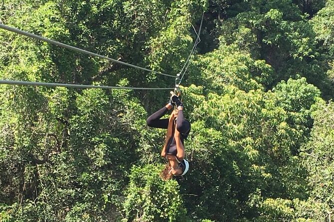 Largest Zipline in South Pacific & Cave Exploration Coral Coast - Limestone Caves and Lunch in the Forest