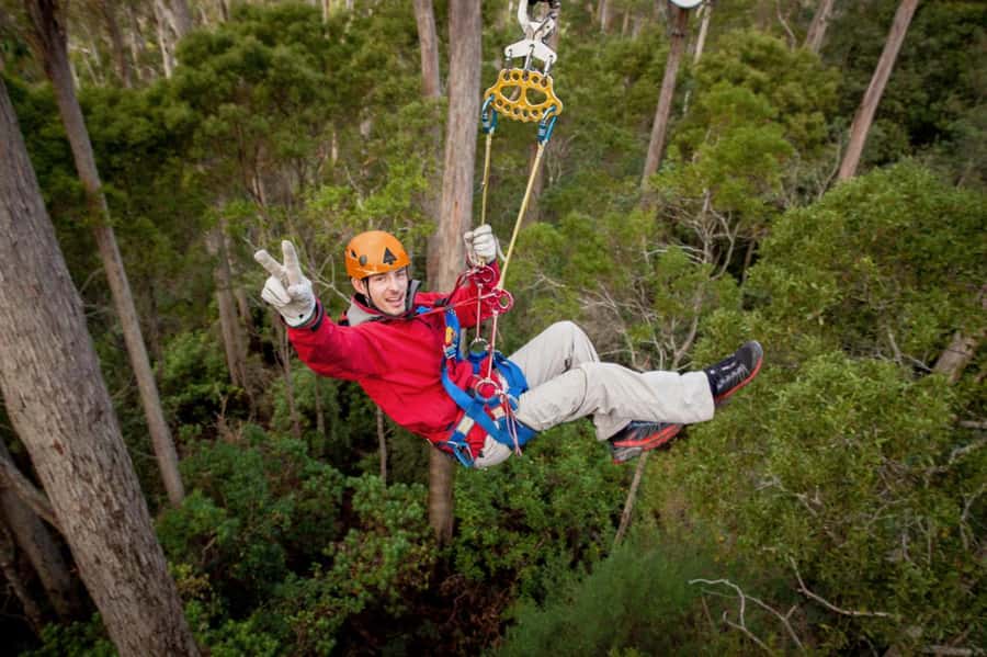 Launceston: Hollybank Forest Treetop Zip Lining with Guide - Guides who make the difference at 50 metres