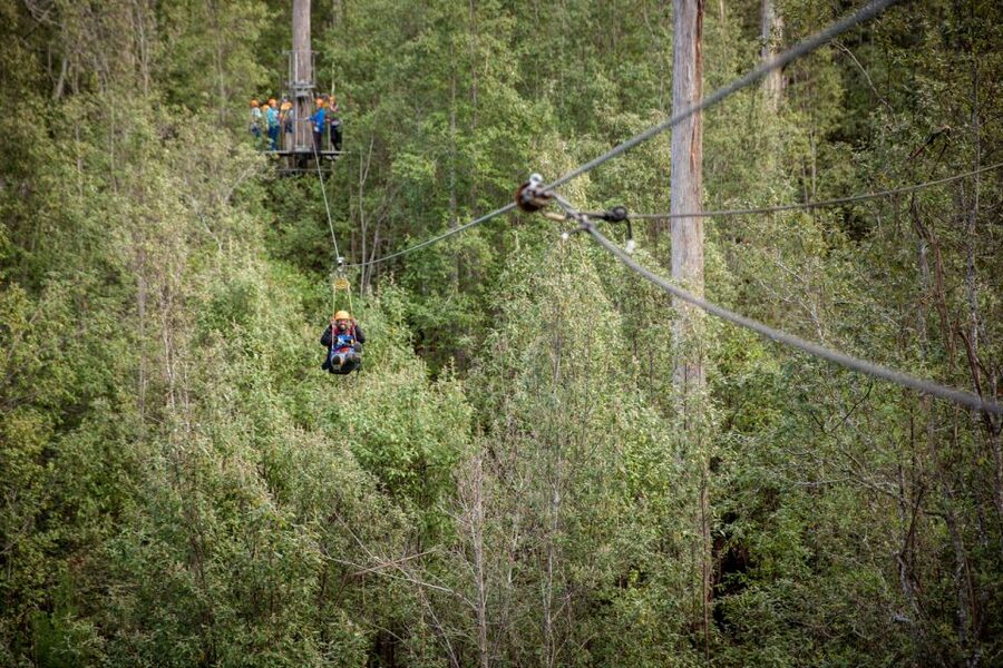 Launceston: Hollybank Forest Treetop Zip Lining with Guide - What the 150-minute schedule feels like