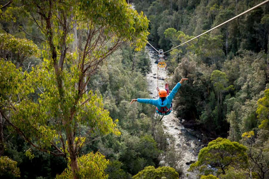 Launceston: Hollybank Forest Treetop Zip Lining with Guide - Why the view matters as much as the speed