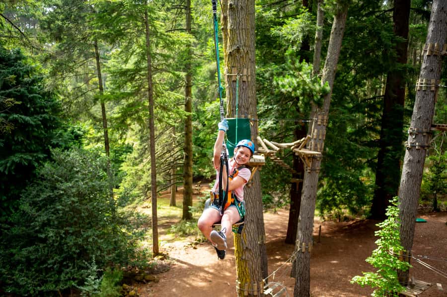 Launceston: Hollybank Tree Ropes Course - Key points to know before you go