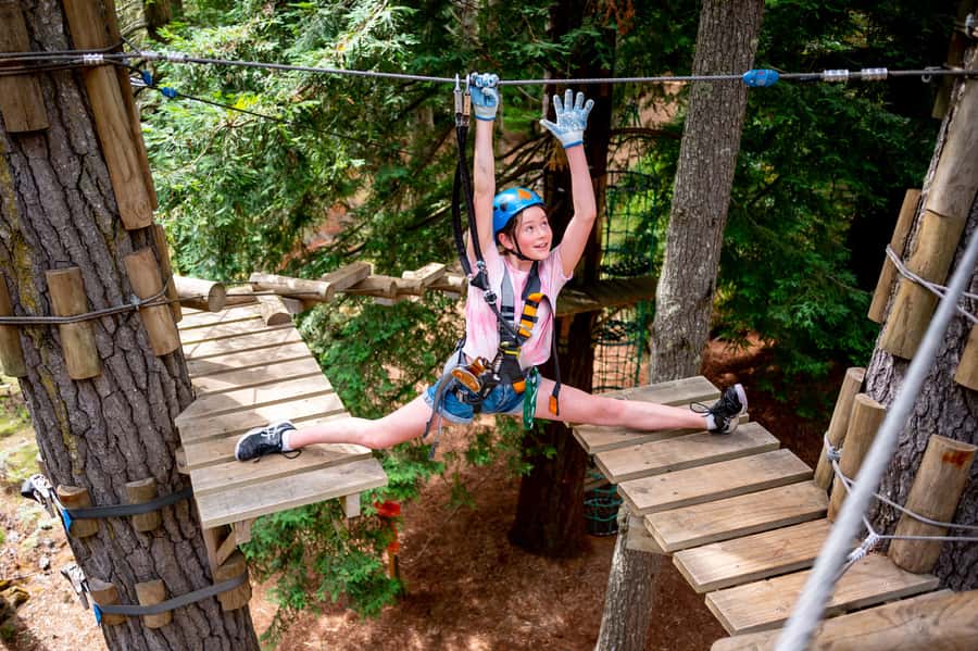 Launceston: Hollybank Tree Ropes Course - What 150 minutes feels like
