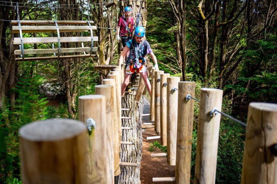 Launceston: Hollybank Tree Ropes Course - The staff and the small-group feel
