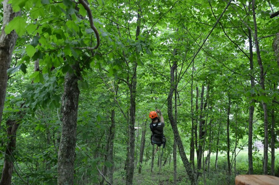 Lexington: Fully Guided Zipline Canopy Tour - Boone Creek Gorge from the treetops