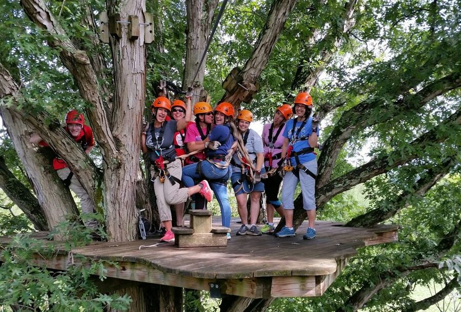 Lexington: Fully Guided Zipline Canopy Tour - Six ziplines with a clear high point