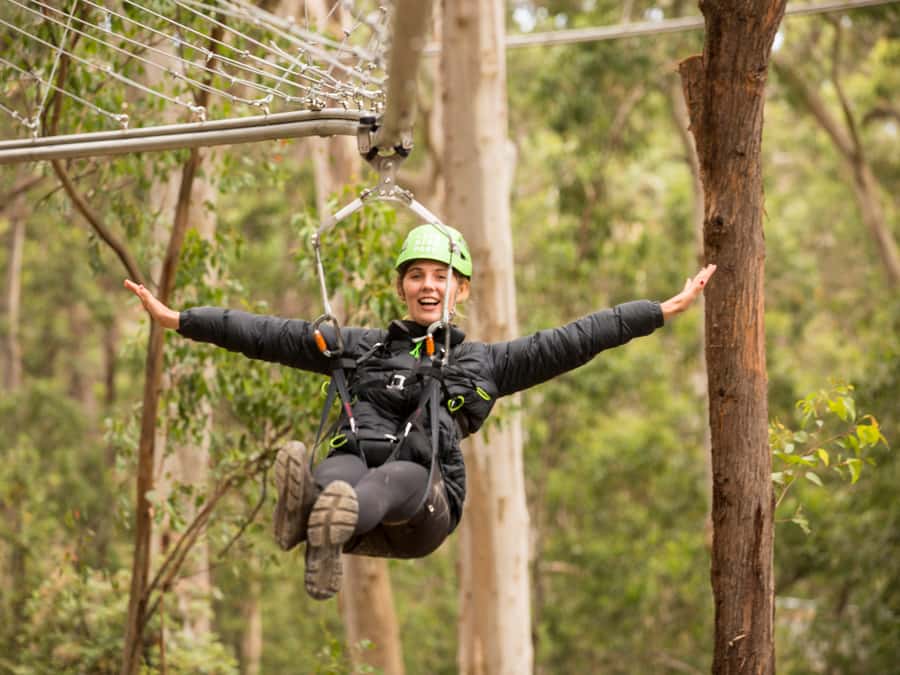 Lorne: Live Wire Park Ticket with Zip Line Rollercoaster - The 525-meter ride through the Otway rainforest