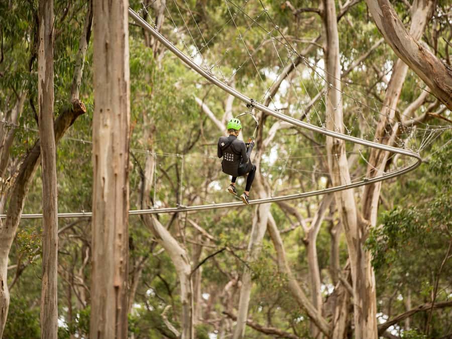 Lorne: Live Wire Park Ticket with Zip Line Rollercoaster - What happens when you arrive at Building 1