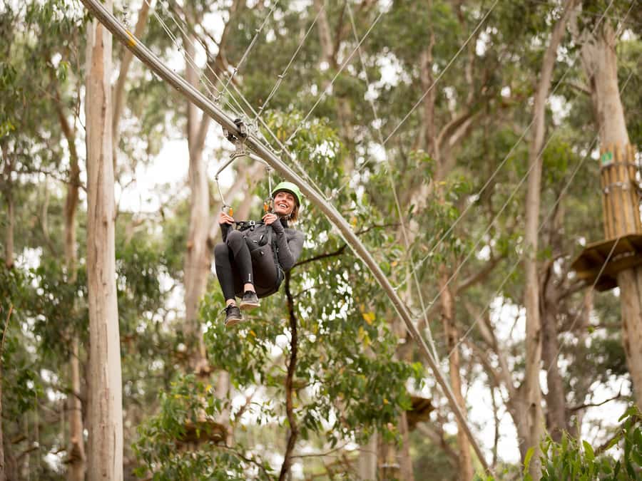 Lorne: Live Wire Park Ticket with Zip Line Rollercoaster - Spring Circuit trampolines for a lighter change of pace