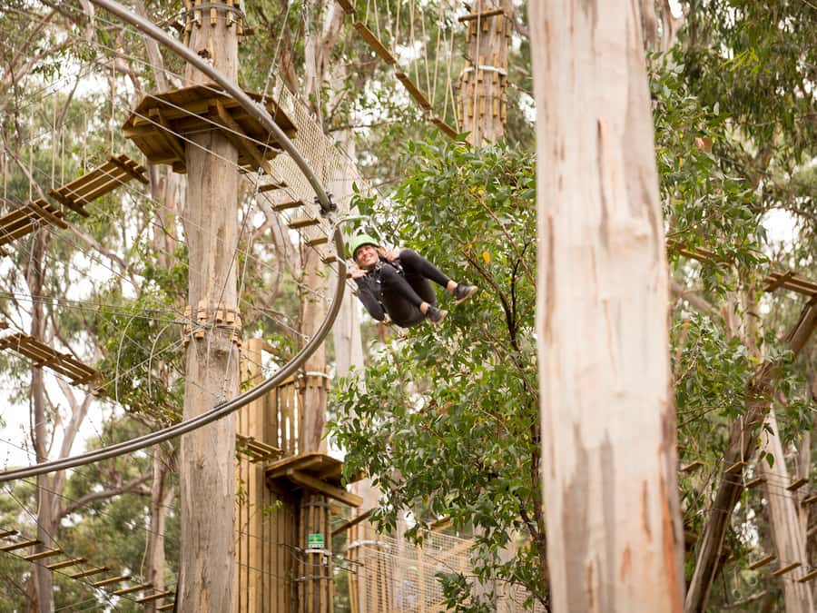Lorne: Live Wire Park Ticket with Zip Line Rollercoaster - Riding the Shockwave ZipCoaster