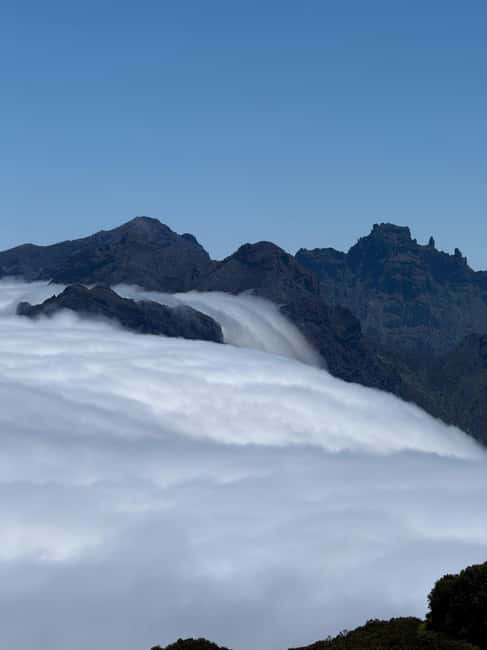 Madeira Adrenaline 4x4 Tour: Zipline, Giant Swing and Seixal - Price, extra charges, and overall value