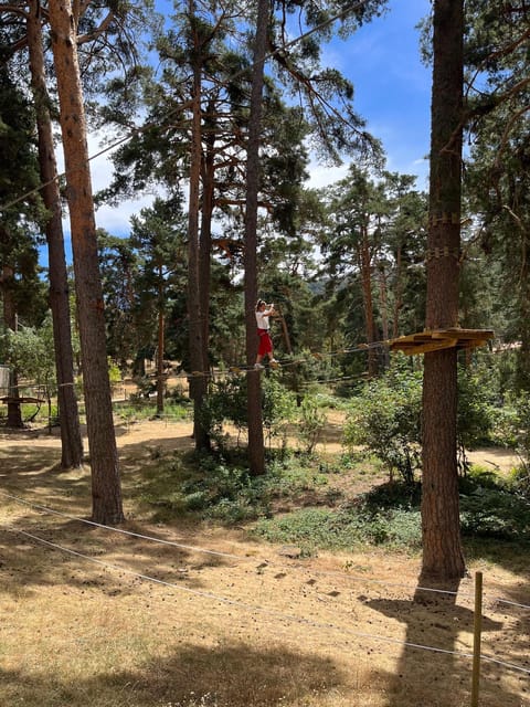 Madrid: Zip line circuits high in the trees - The games: zip lines, lianas, and suspended obstacles