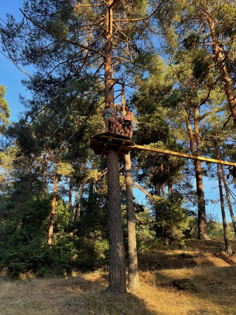 Madrid: Zip line circuits high in the trees - How the height range affects different age groups