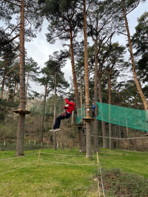 Madrid: Zip line circuits high in the trees - Planning your half-day from Madrid
