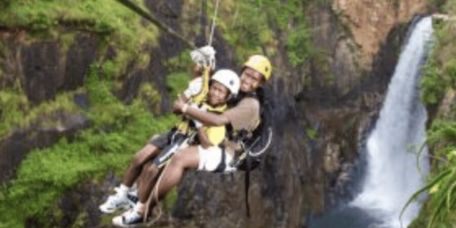 Magoebaskloof Adventures: 2H Canopy Tour - A guide-led lesson in the forest