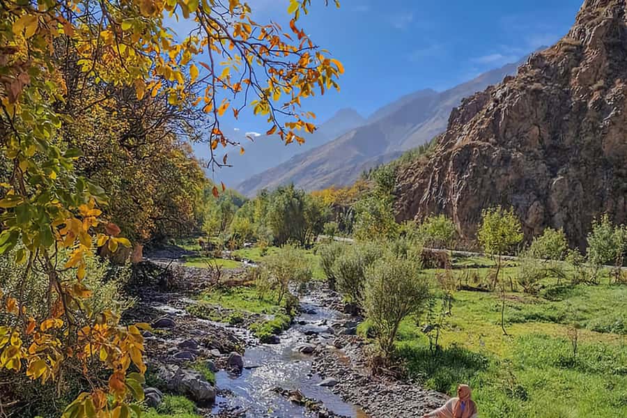 Marrakech: Zip Line in Atlas Mountains & Berber Villages - Argan oil, tea, and a women’s cooperative