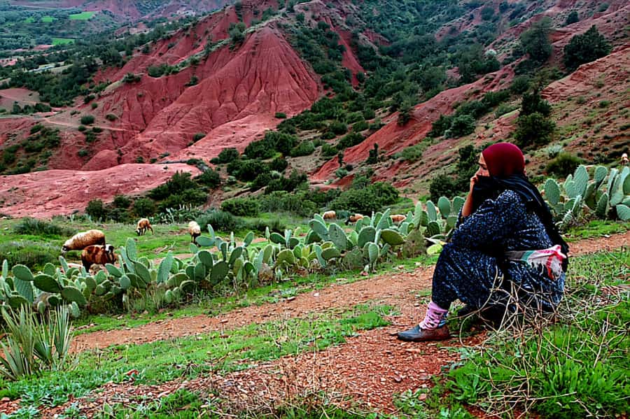 Marrakech: Zipline and Breakfast in the Atlas Mountains - Breakfast at the women’s argan oil cooperative