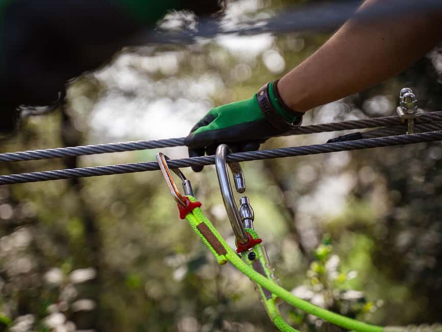 Marseille: Ecopark Adventures Treetop Adventure - Arrival, harnesses, and the required first course