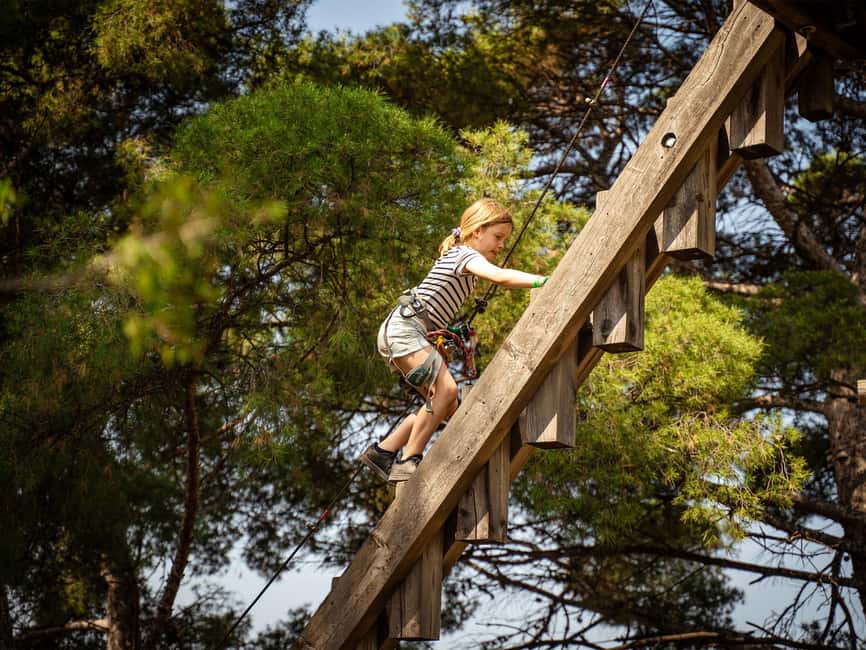 Marseille: Ecopark Adventures Treetop Adventure - Getting there from central Marseille
