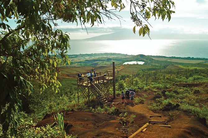 Maui 8 line Zipline Adventure: Soar above valleys & Island views - Eight lines through the West Maui Mountains