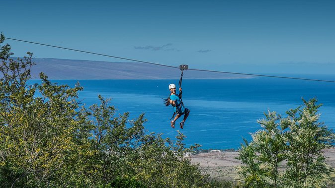 Maui 8 line Zipline Adventure: Soar above valleys & Island views - Hawaiian geology and local life along the route