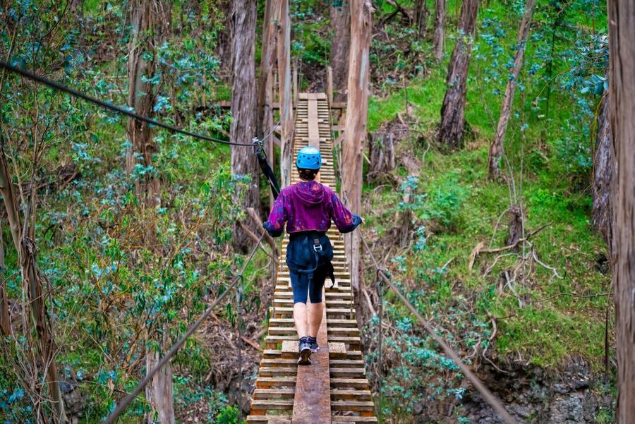 Maui: Haleakala 6-Line Zipline Adventure - Is $146 worth it for two hours?