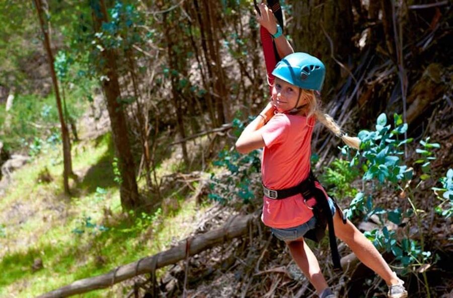 Maui: Haleakala 6-Line Zipline Adventure - Who will enjoy this most