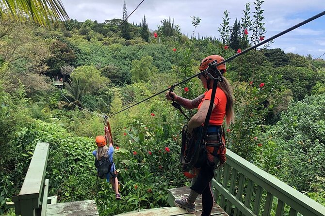 Maui Zipline Eco Adventure: 8 Lines through the Jungle - Key points to know before you book