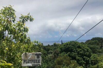 Maui Zipline Eco Adventure: 8 Lines through the Jungle