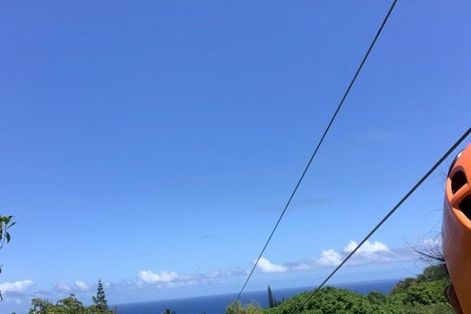 Maui Zipline Eco Adventure: 8 Lines through the Jungle - Who will enjoy this most?