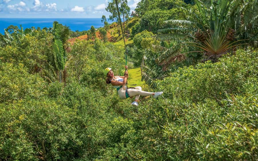 Mauritius: Vallé Advenature Park - Adventure Tour Zipline - Six ziplines across Mauritius forest