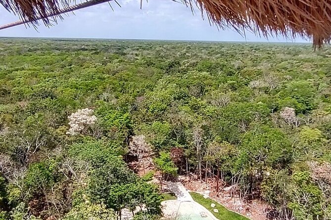 Maya Adrenaline: ATV, Ziplines & Cenote From Playa del Carmen. - What the Maya Adrenaline day is really like