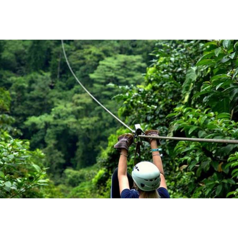 Medellin: 4-Hour Zip-Line Adventure - Key points to know before booking