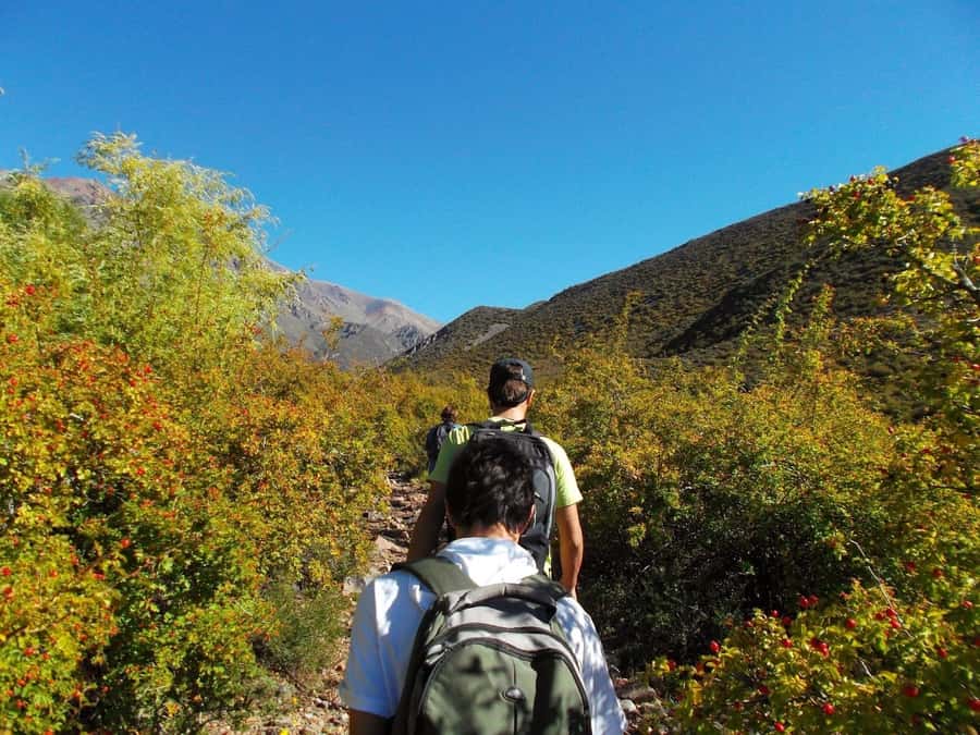 Mendoza: Trekking, Abseiling and Zipline - What the rappel feels like in practice