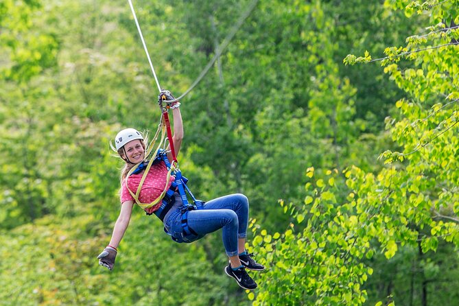 Minnesota River Valley 14-Line Thrilling Zipline Canopy Tour - Key points to know before you book